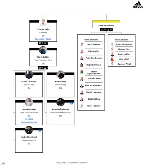 adidas organizational structure chart.